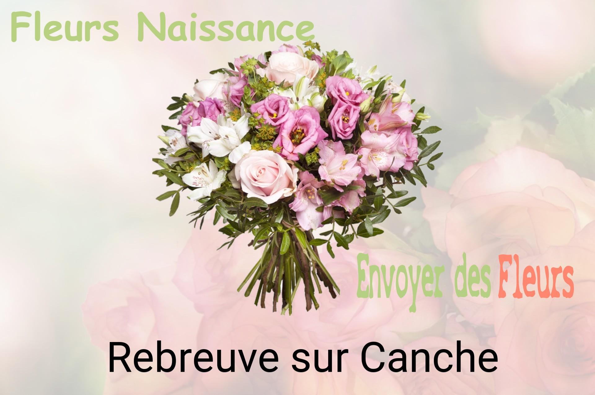 Bouquet de fleurs de naissance livré à Rebreuve-sur-Canche