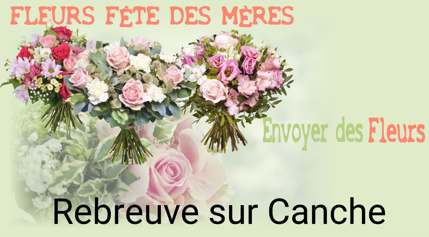 Bouquet de Fête des Mères livré à Rebreuve-sur-Canche